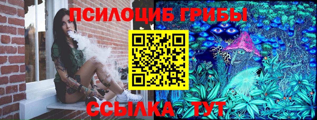 купить   Вход с VPN  Михайловка  Псилоцибиновые грибы Cubensis 